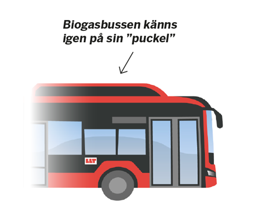Illustration över den karaktäristiska biogastanken (även kallad puckel) på taket av en biogasbuss.
