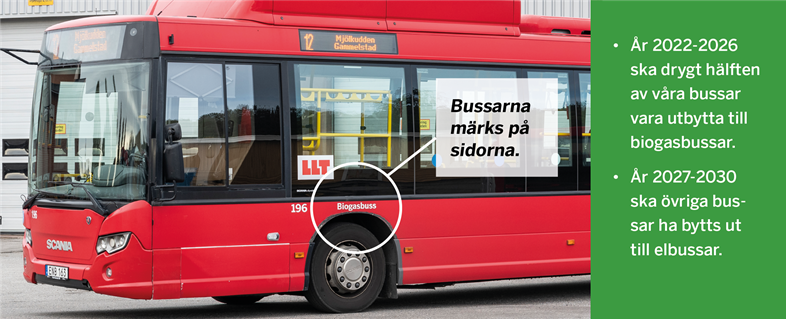 Bild på hur bussarna märks med drivmedelstyp på sidan av bussen.